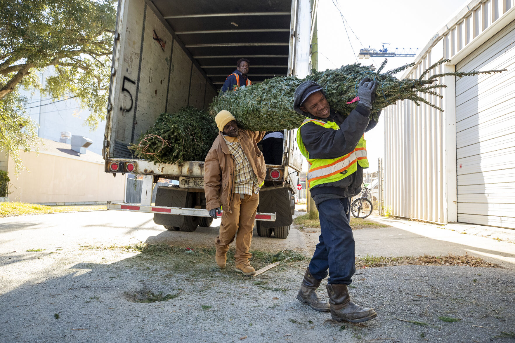 JUMP LEDE unloading trees.jpg